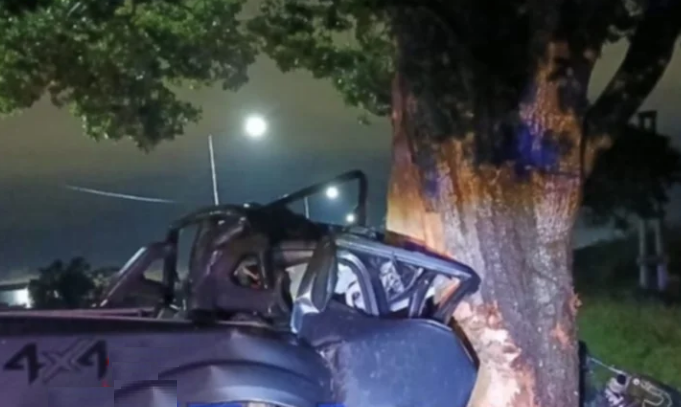 Trágico accidente en Corrientes: una persona murió al chocar contra un árbol en la ruta 12
