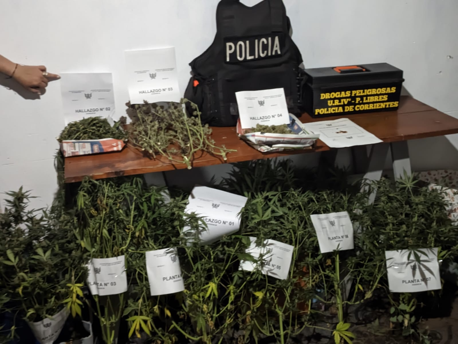 Violencia de género y hallazgo de plantas de marihuana en Paso de los Libres