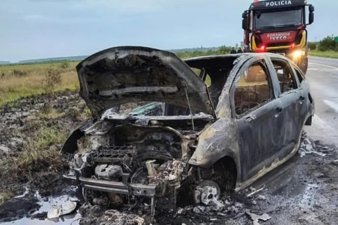Un auto chocó contra un carpincho y se incendió sobre la Ruta 14 cerca de Paso de los Libres