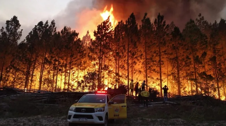 Cuestionan al Gobierno por el recorte presupuestario al Servicio Nacional de Manejo del Fuego