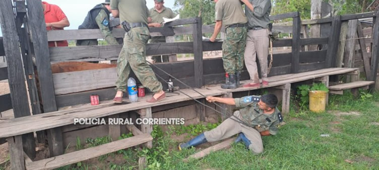 Ordenaron la detención de dos personas y avanzan allanamientos por presunto delito rural en La Cruz