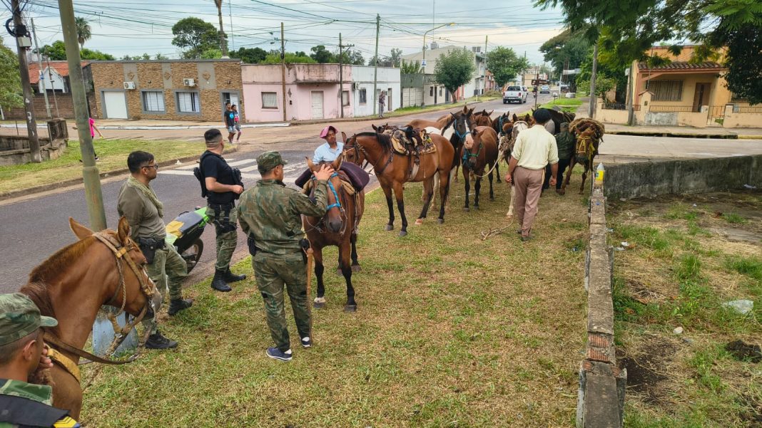 Retiran 25 caballos sueltos de la vía pública